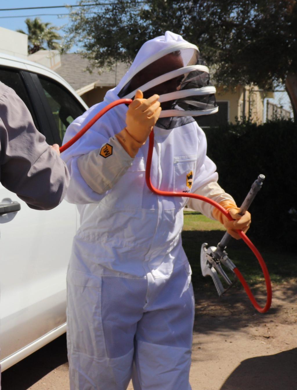 A man in a bee suit is pulling a hose from his truck to prepare to use it on a swarm