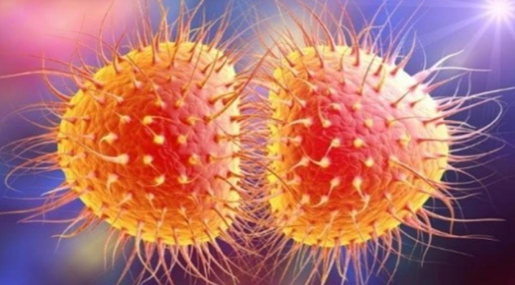 Close up of the gonorrhea molecule