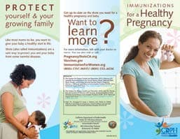 Immunization for a Healthy Pregnancy Brochure, click to view document