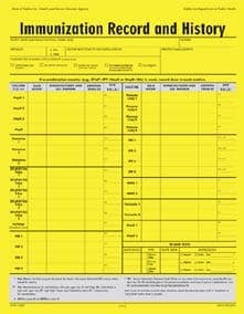 Immunization Record and History yellow sheet