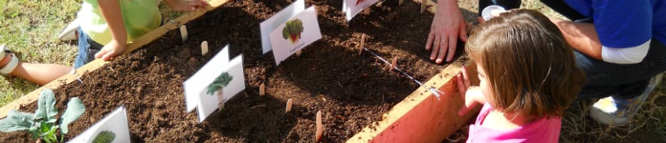 People learning how to plant gardens